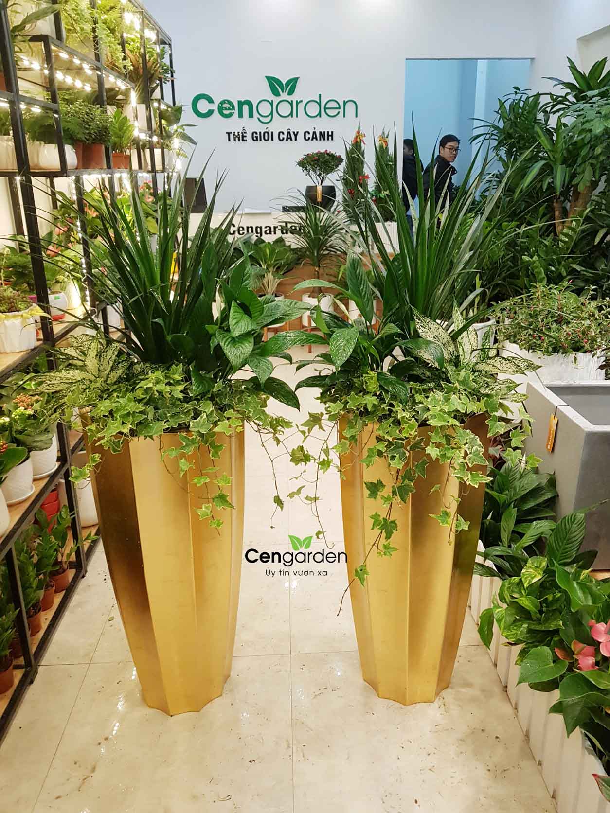 Chậu Composite cao cấp Garnet Gold Tự Tưới ROS