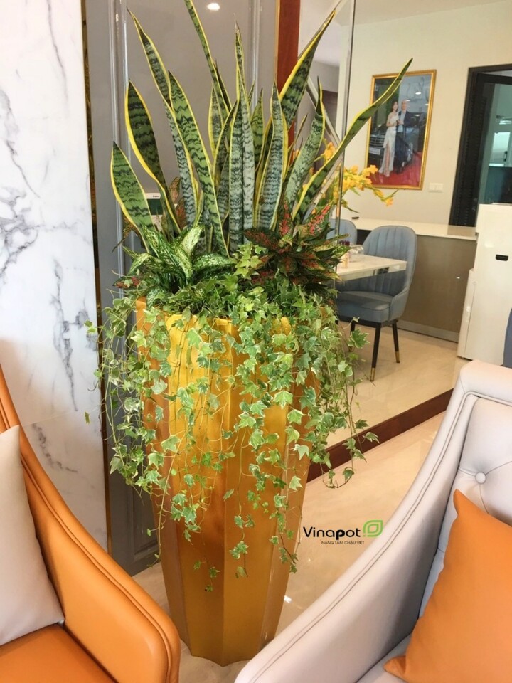 Chậu Composite cao cấp Garnet Gold Tự Tưới ROS