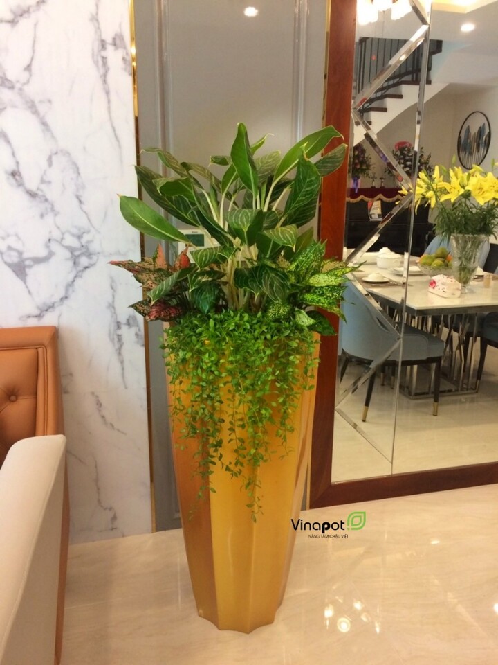 Chậu Composite cao cấp Garnet Gold Tự Tưới ROS