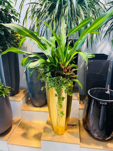 Chậu Composite cao cấp Garnet Gold Tự Tưới ROS