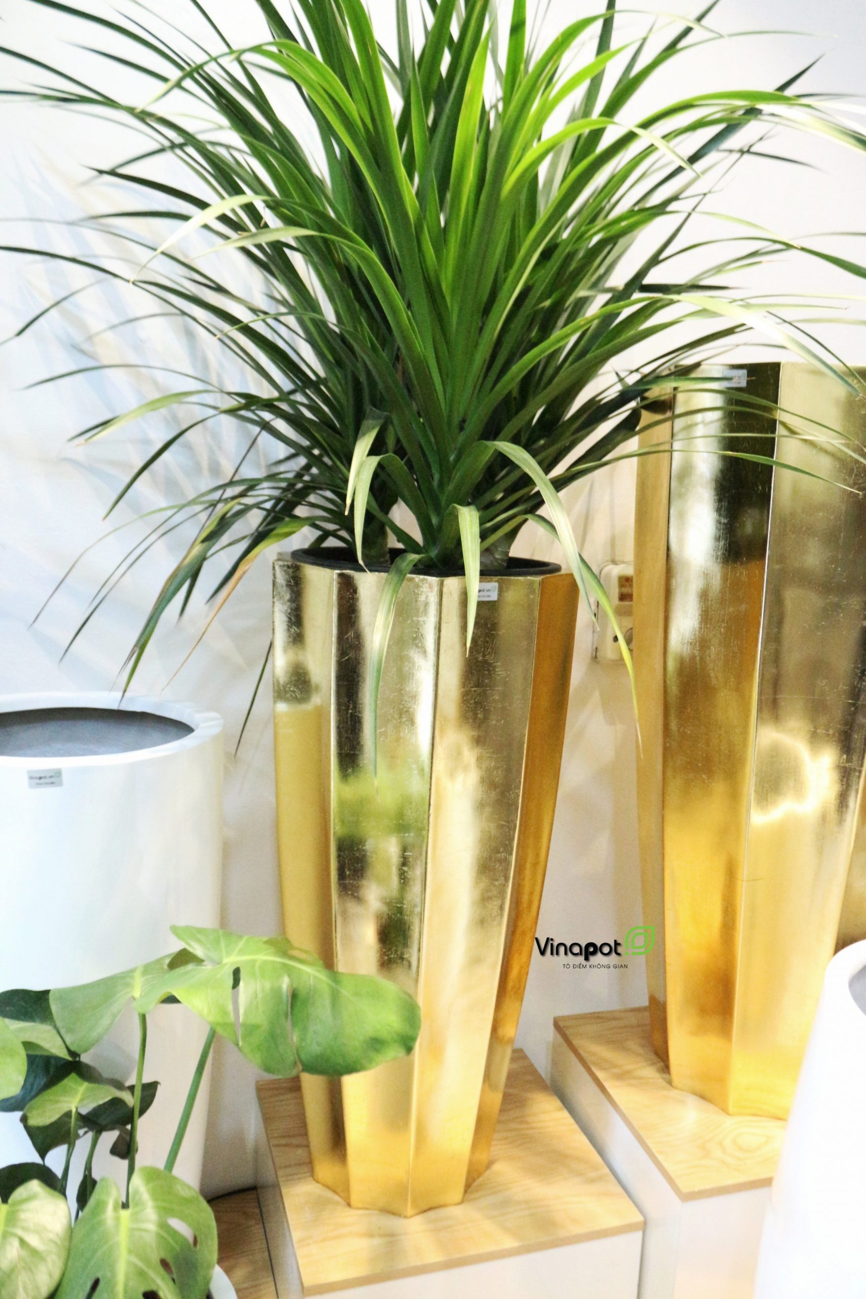 Chậu Composite cao cấp Garnet Gold Tự Tưới ROS