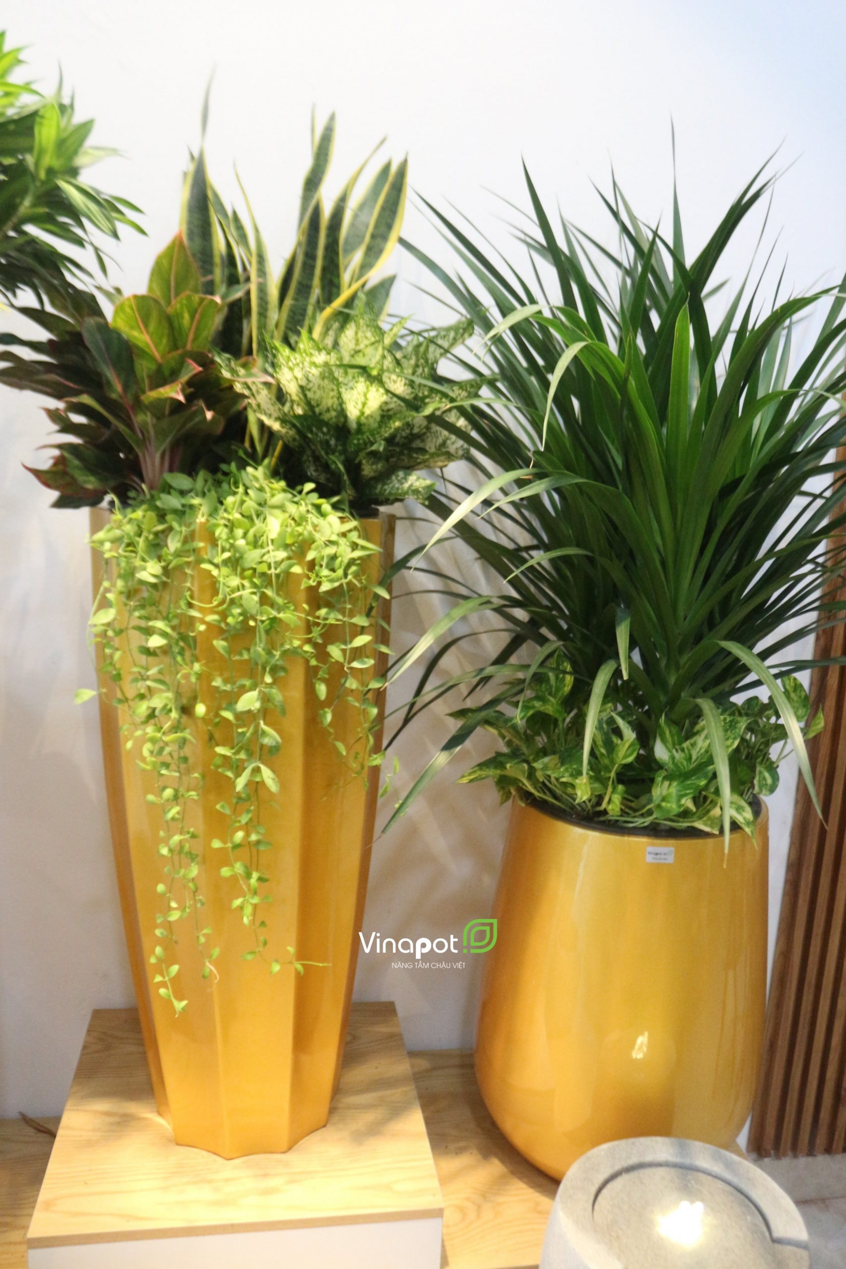 Chậu Composite cao cấp Garnet Gold Tự Tưới ROS