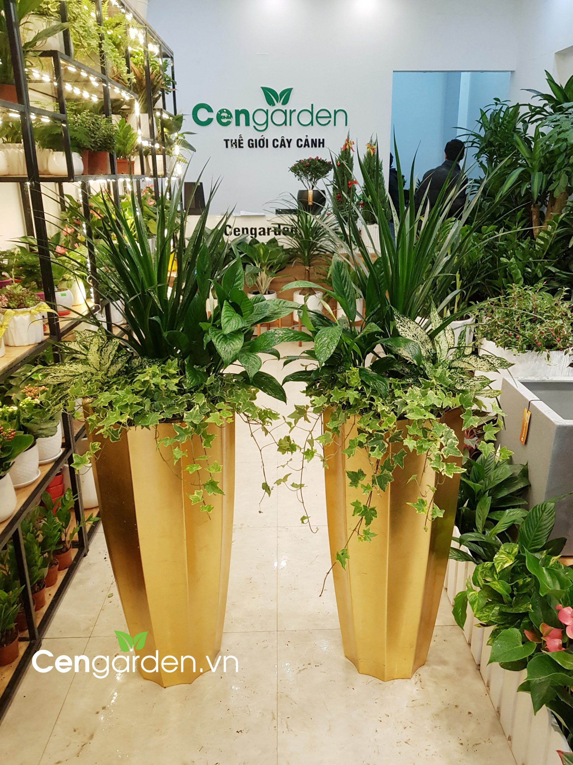 Chậu Composite cao cấp Garnet Gold Tự Tưới ROS