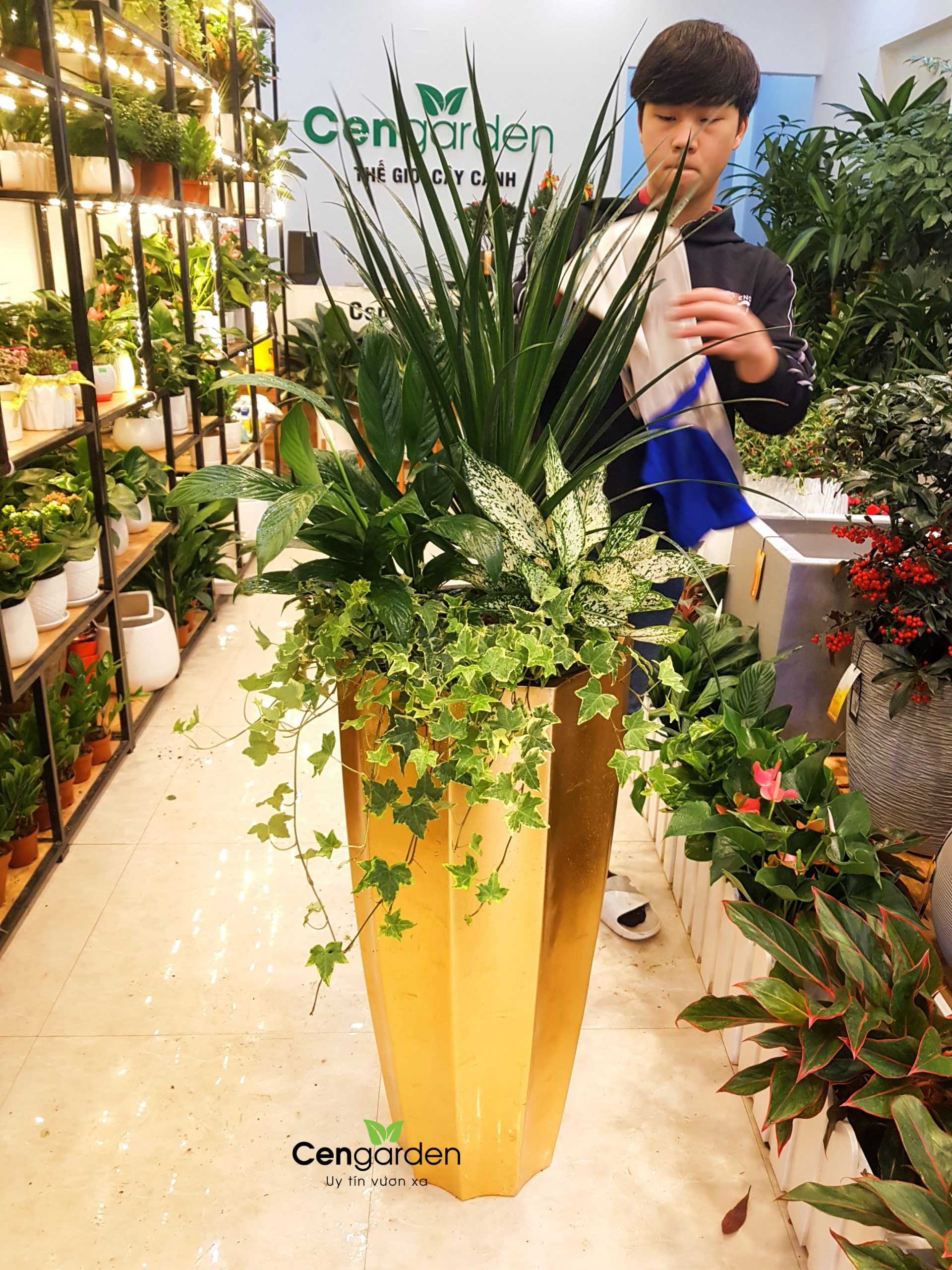 Chậu Composite cao cấp Garnet Gold Tự Tưới ROS