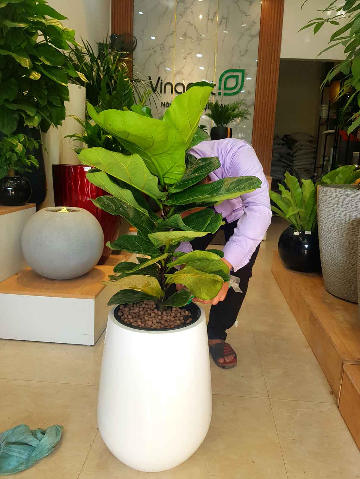 Chậu Composite Cao cấp Premier Ruby ROS