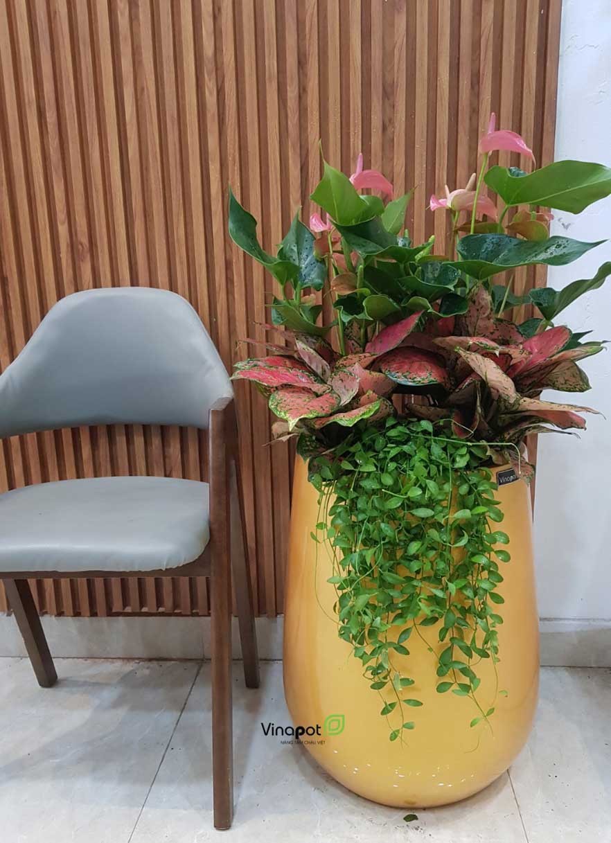 Chậu Composite Cao cấp Premier Ruby ROS