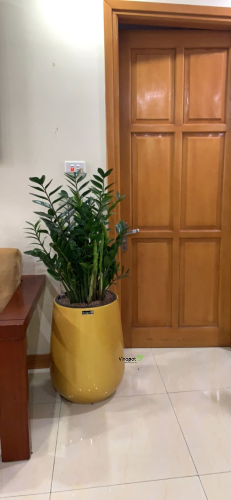 Chậu Composite Cao cấp Premier Ruby ROS