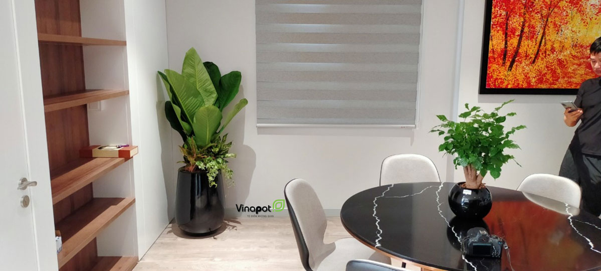 Chậu Composite Cao cấp Premier Ruby ROS