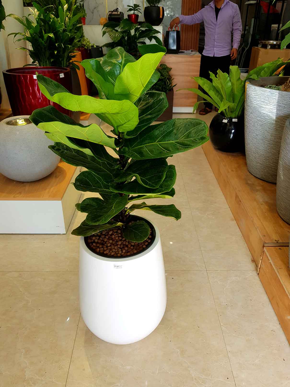 Chậu Composite Cao cấp Premier Ruby ROS