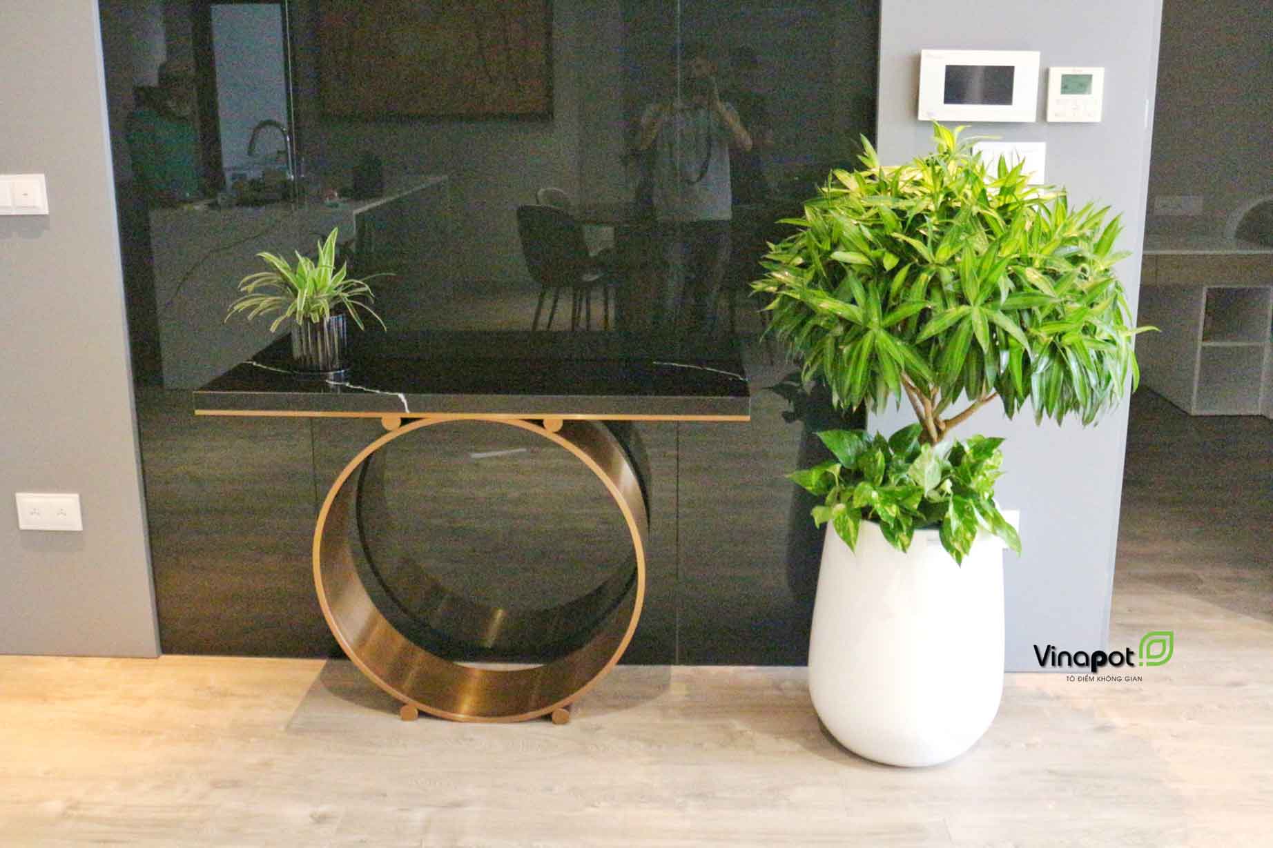 Chậu Composite Cao cấp Premier Ruby ROS