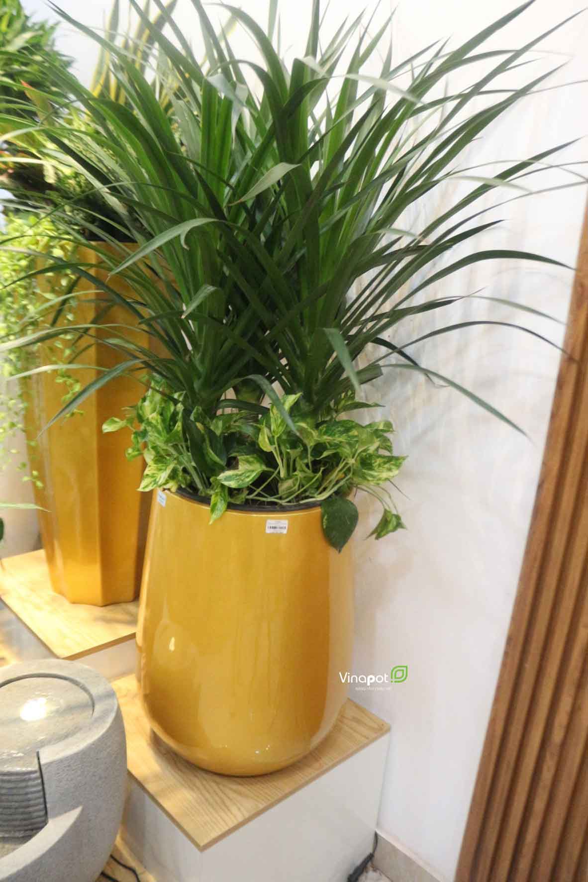 Chậu Composite Cao cấp Premier Ruby ROS