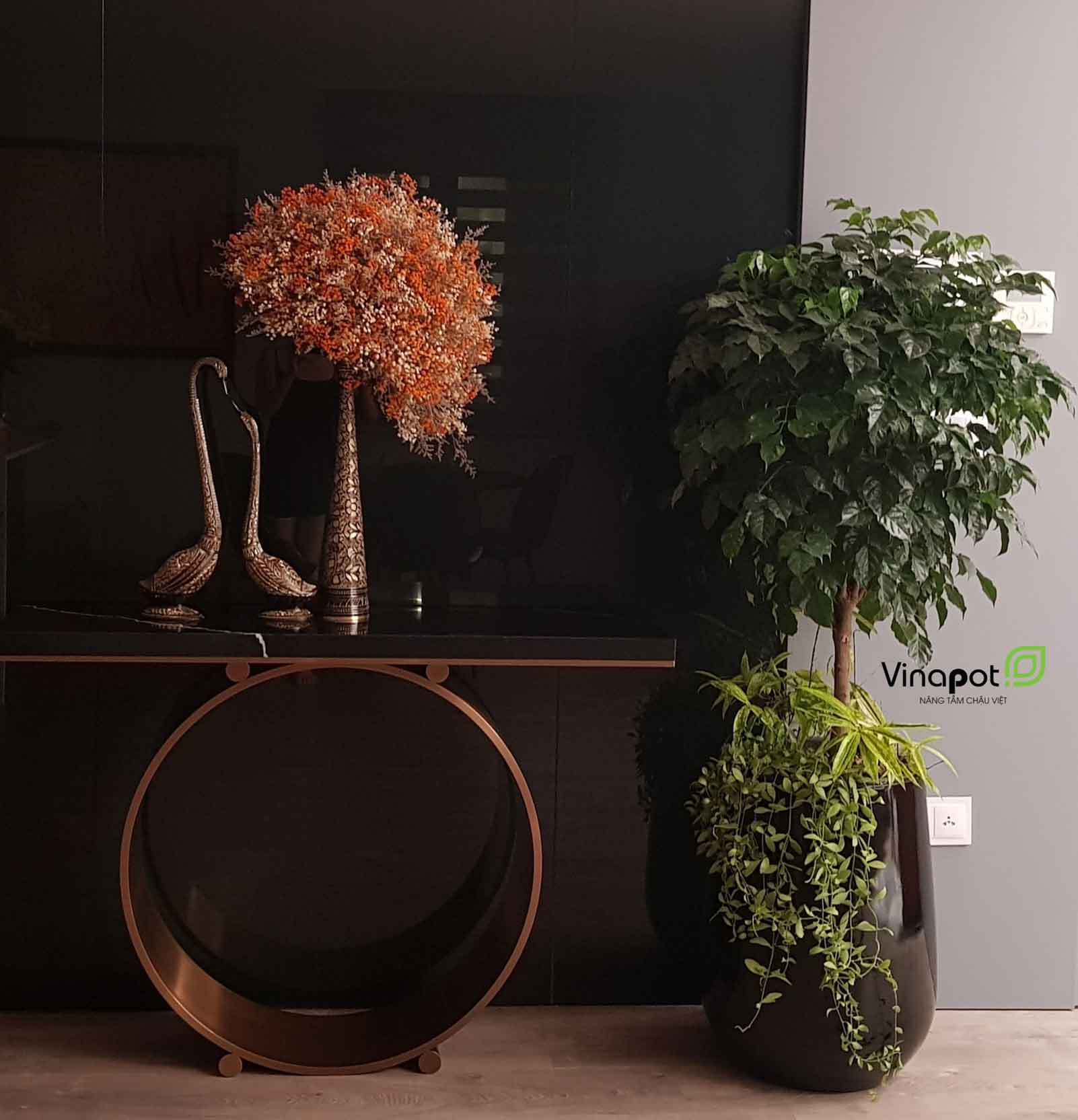 Chậu Composite Cao cấp Premier Ruby ROS