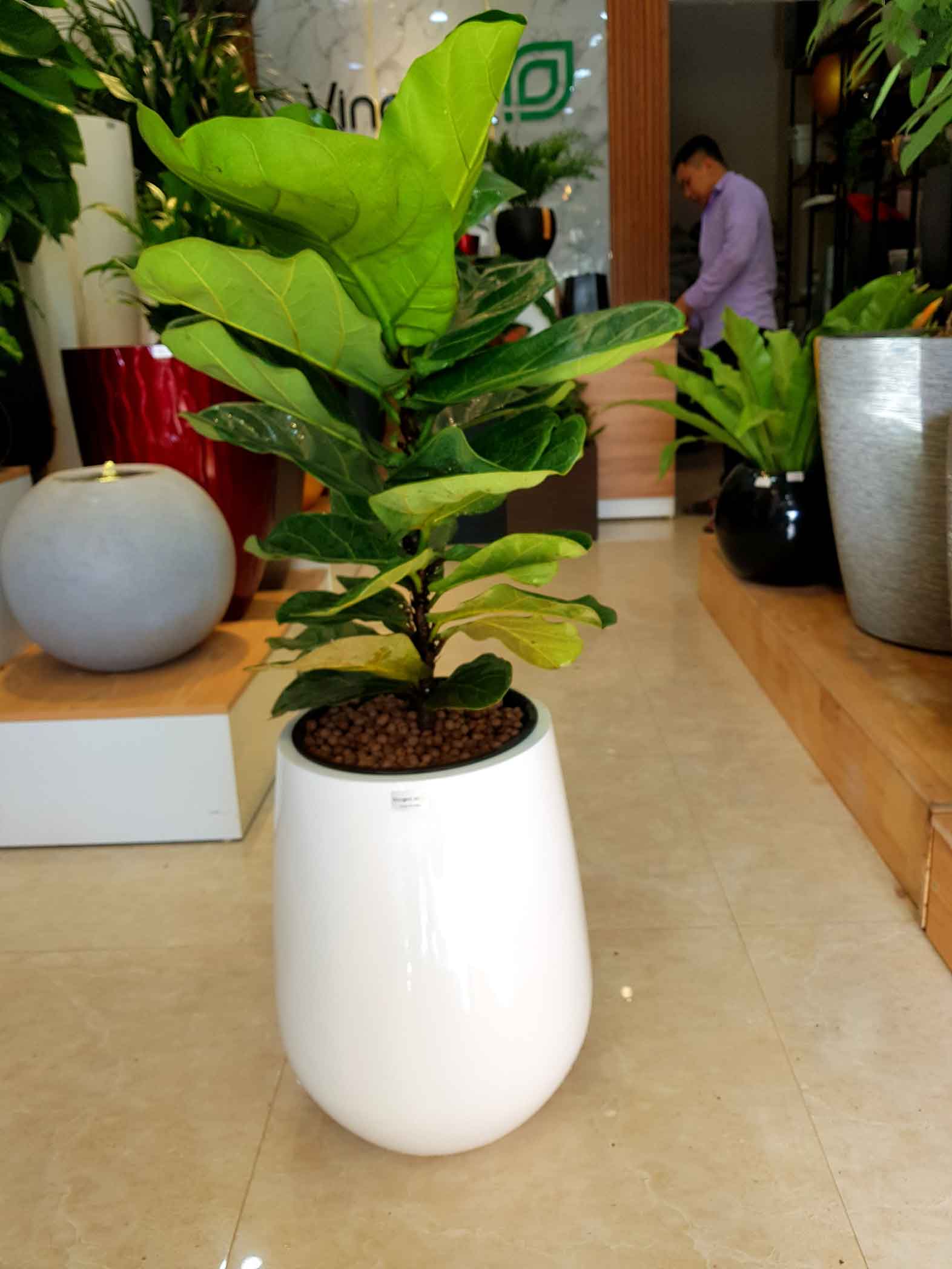 Chậu Composite Cao cấp Premier Ruby ROS