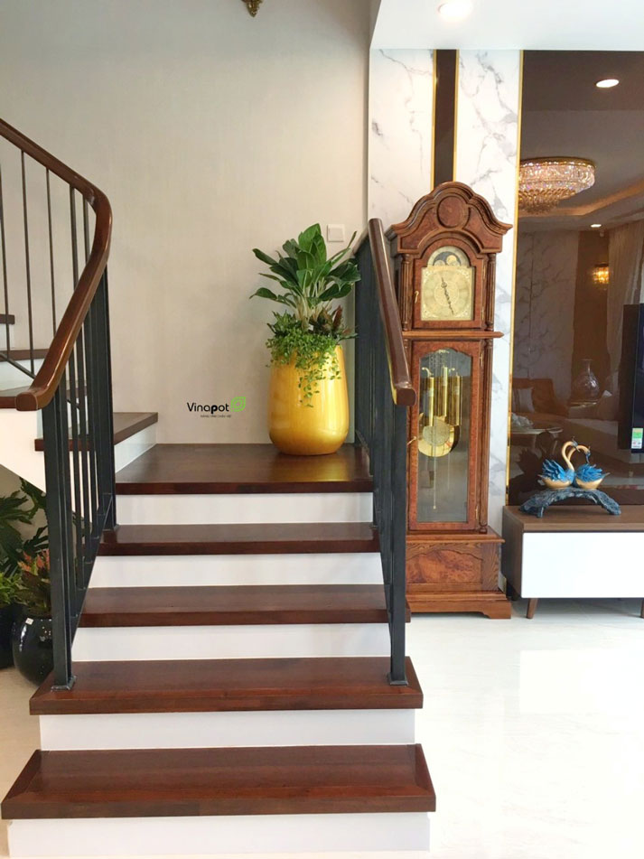 Chậu Composite Cao cấp Premier Ruby ROS