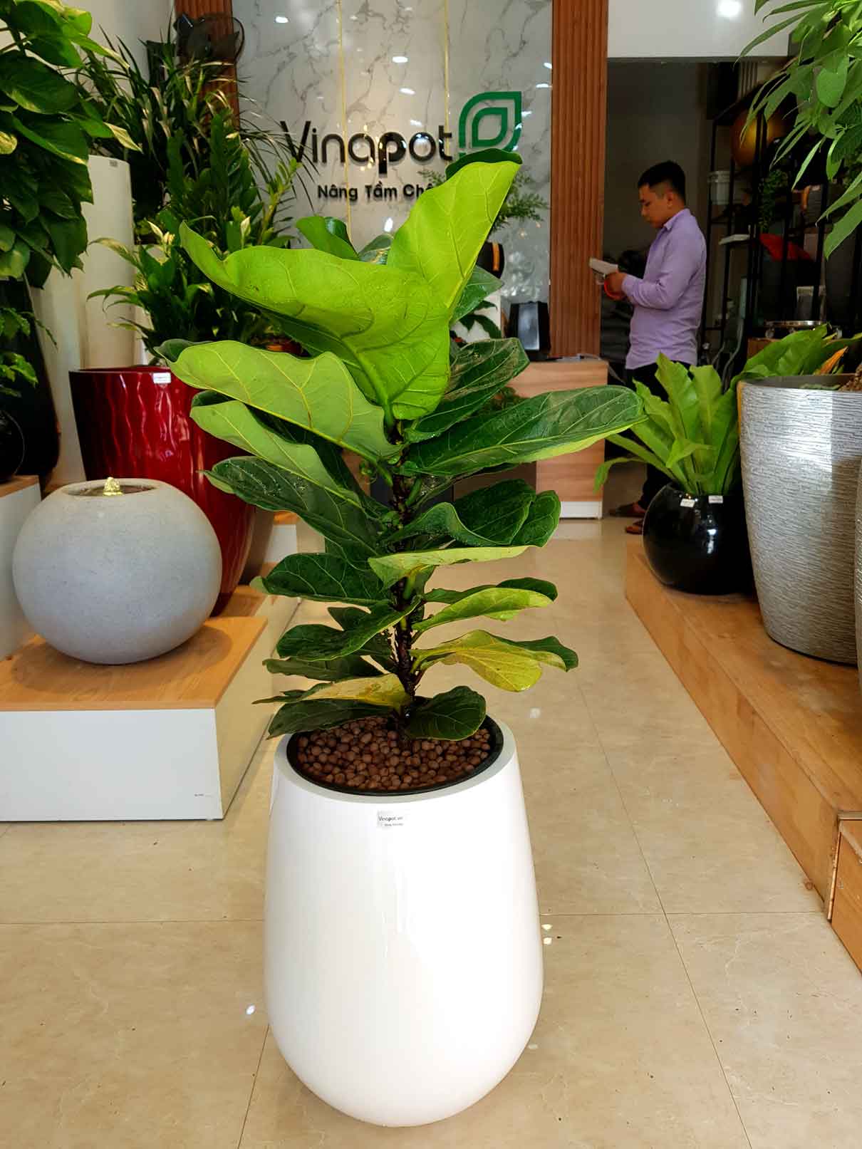 Chậu Composite Cao cấp Premier Ruby ROS