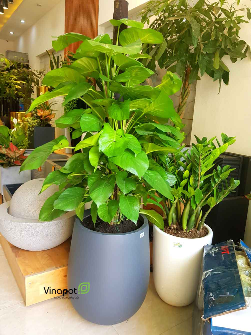 Chậu Composite Cao cấp Premier Ruby ROS