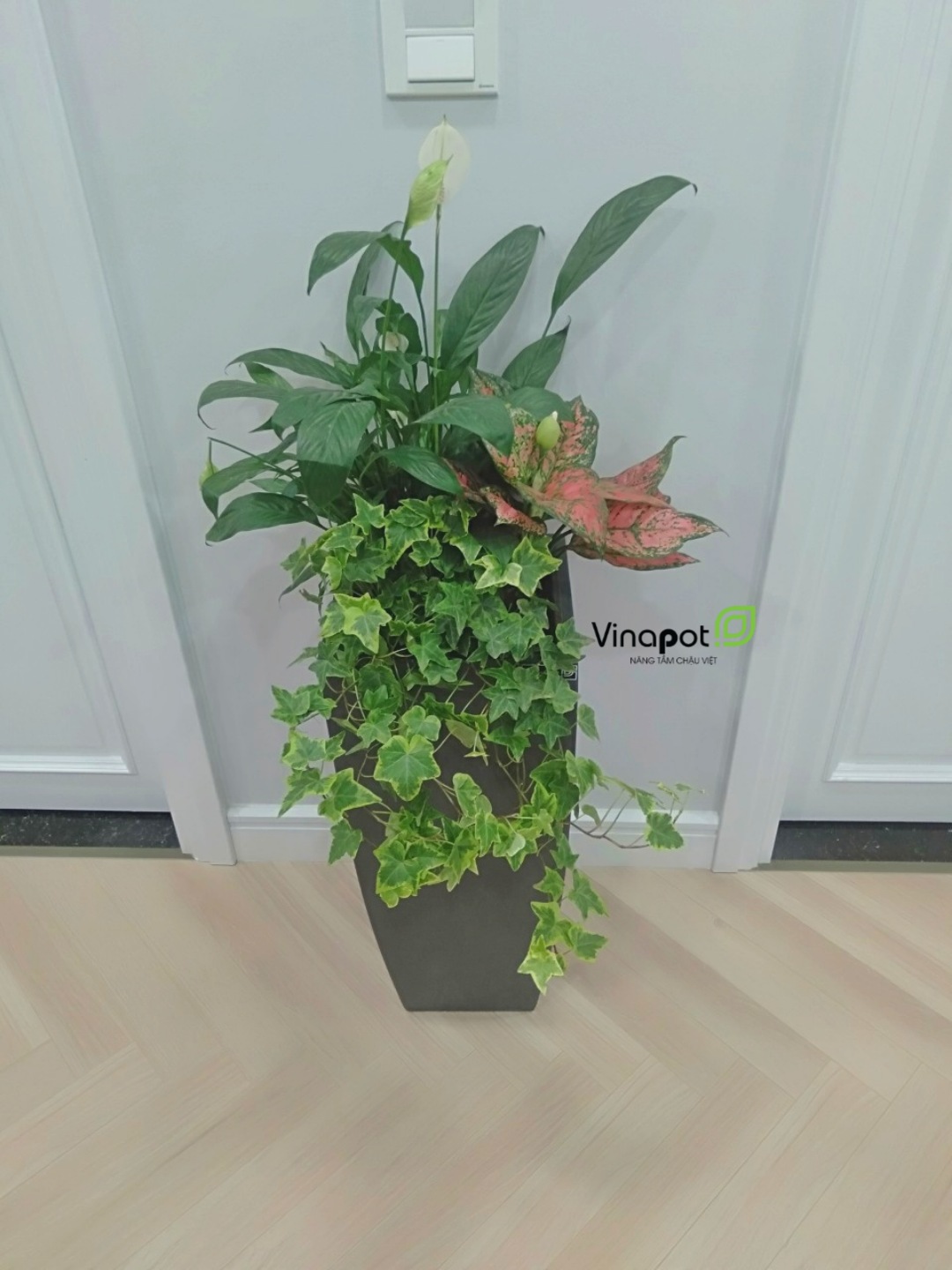 Chậu Composite Cao cấp Premier Topa ROS