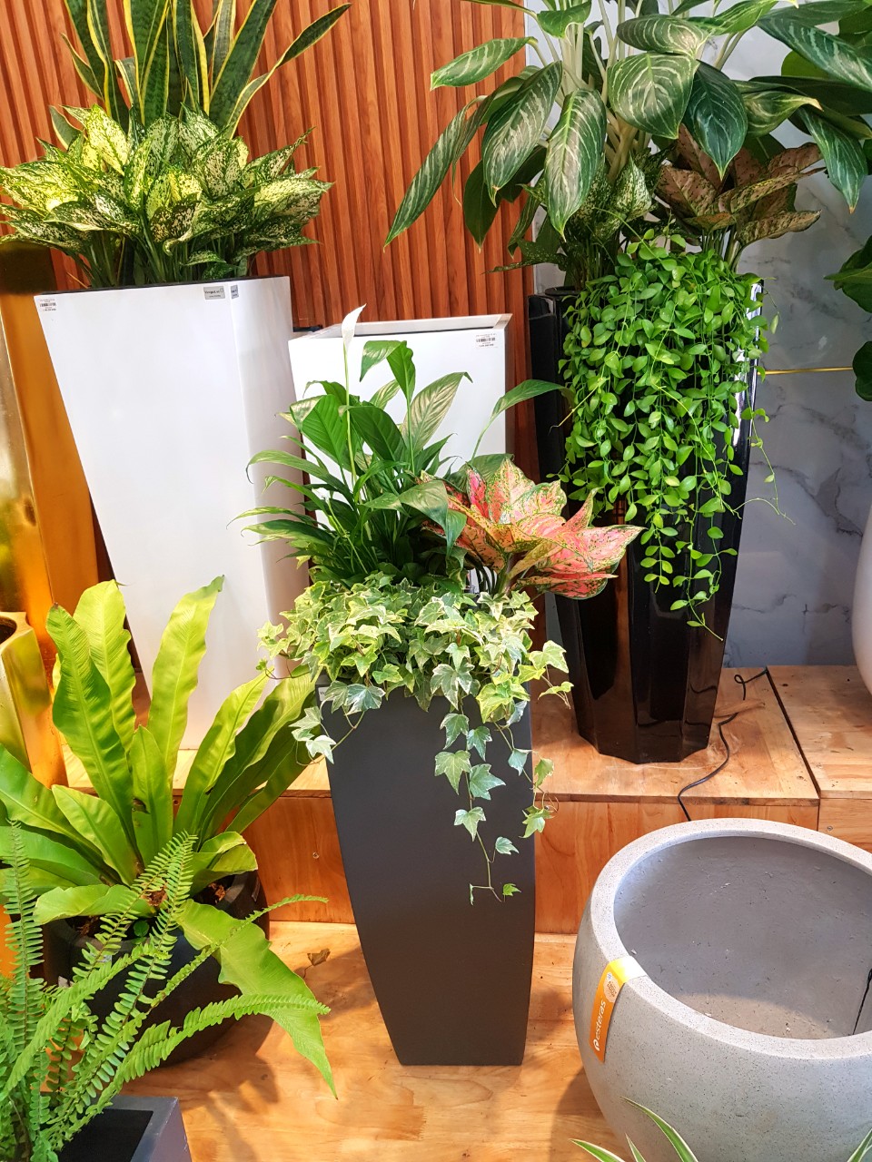 Chậu Composite Cao cấp Premier Topa ROS