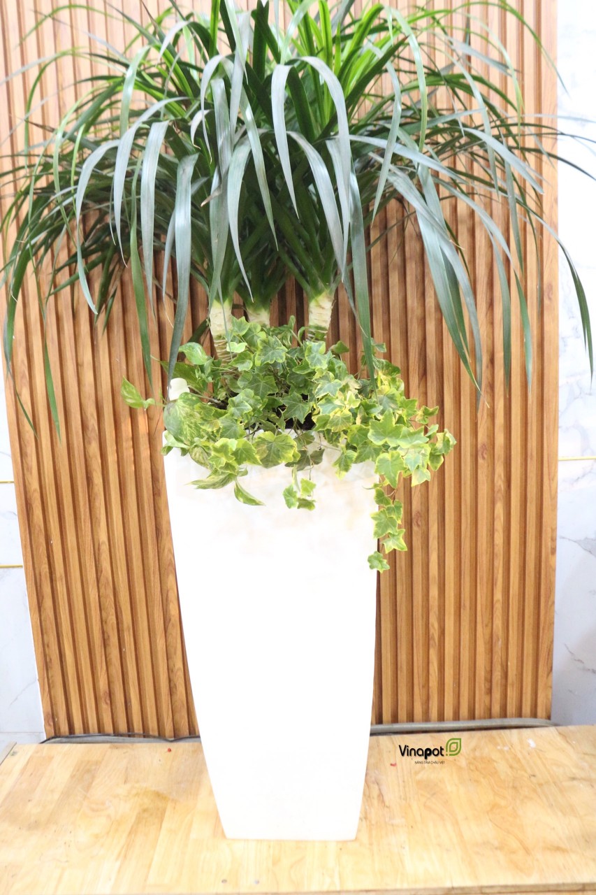 Chậu Composite Cao cấp Premier Topa ROS