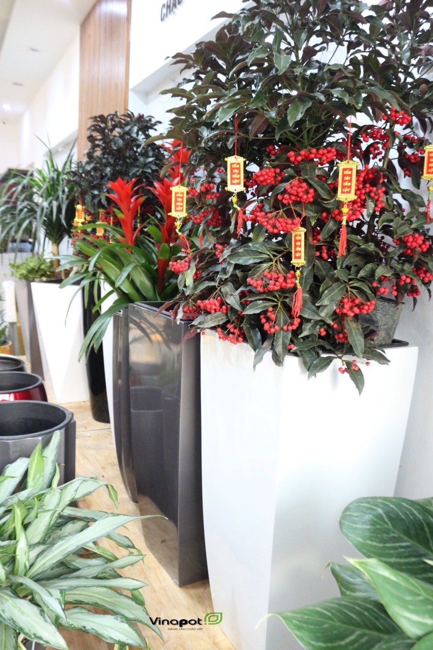 Chậu Composite Cao cấp Premier Topa ROS