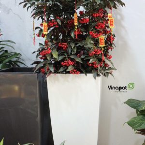 Chậu Composite Cao cấp Premier Topa ROS