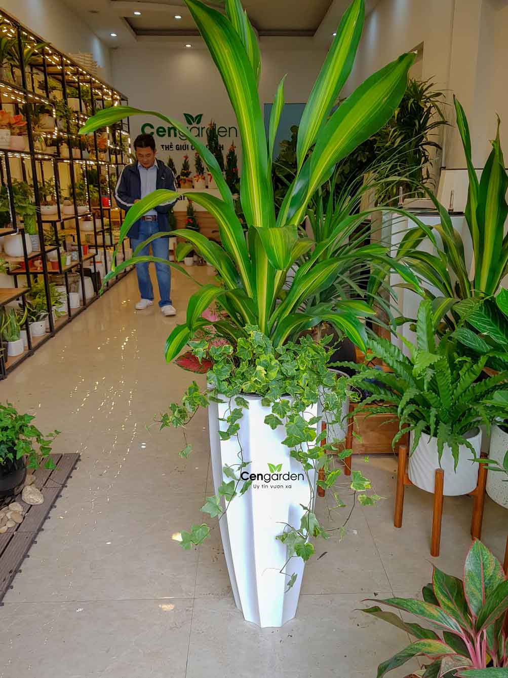 Chậu Composite Cao cấp Premier Garnet ROS