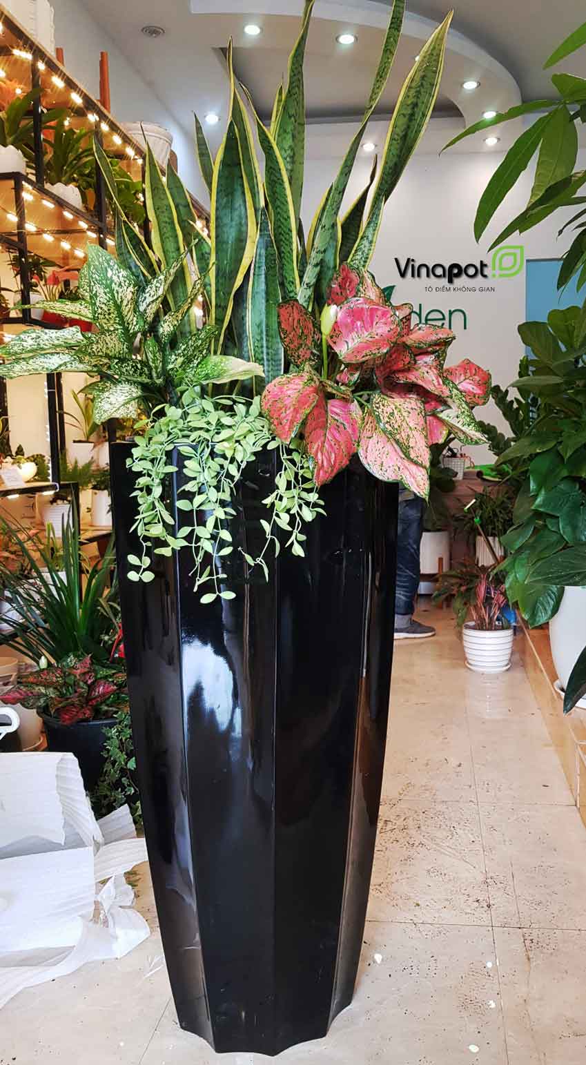 Chậu Composite Cao cấp Premier Garnet ROS