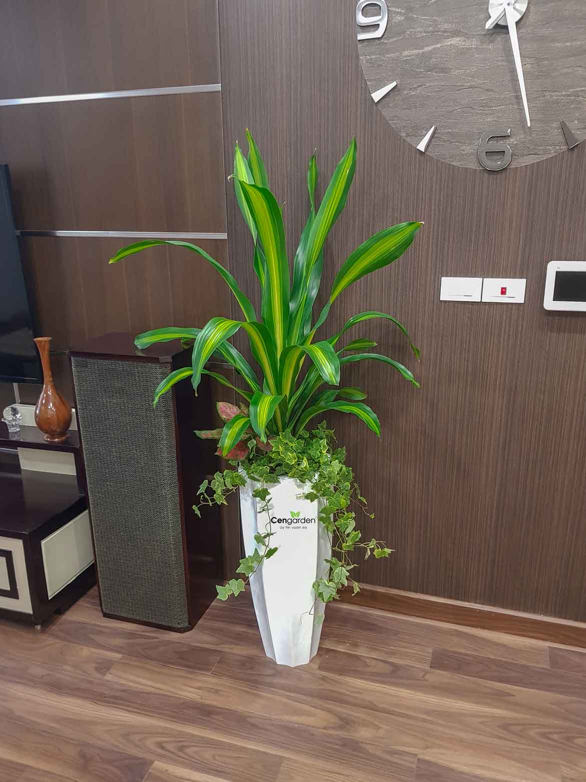 Chậu Composite Cao cấp Premier Garnet ROS