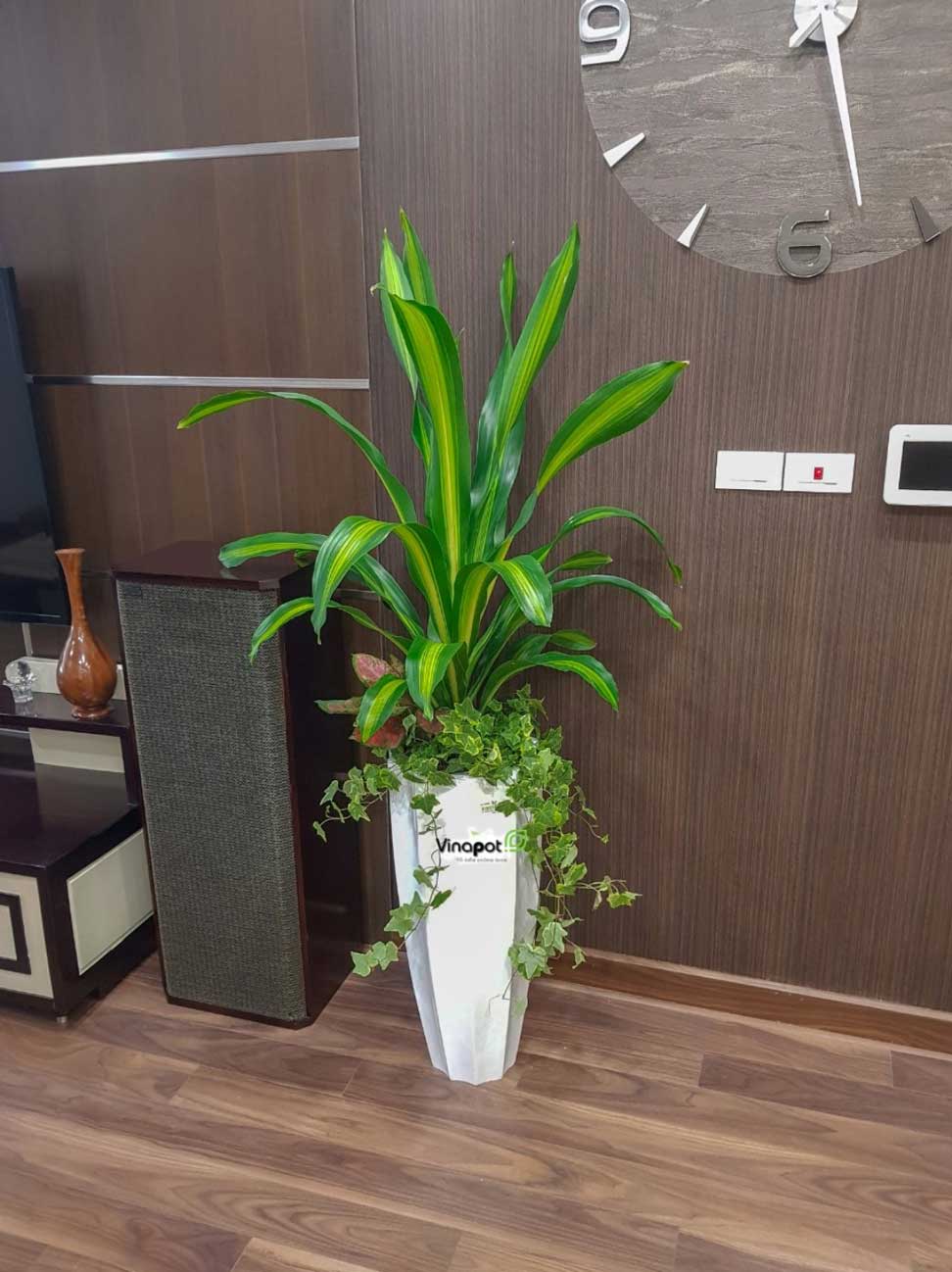 Chậu Composite Cao cấp Premier Garnet ROS