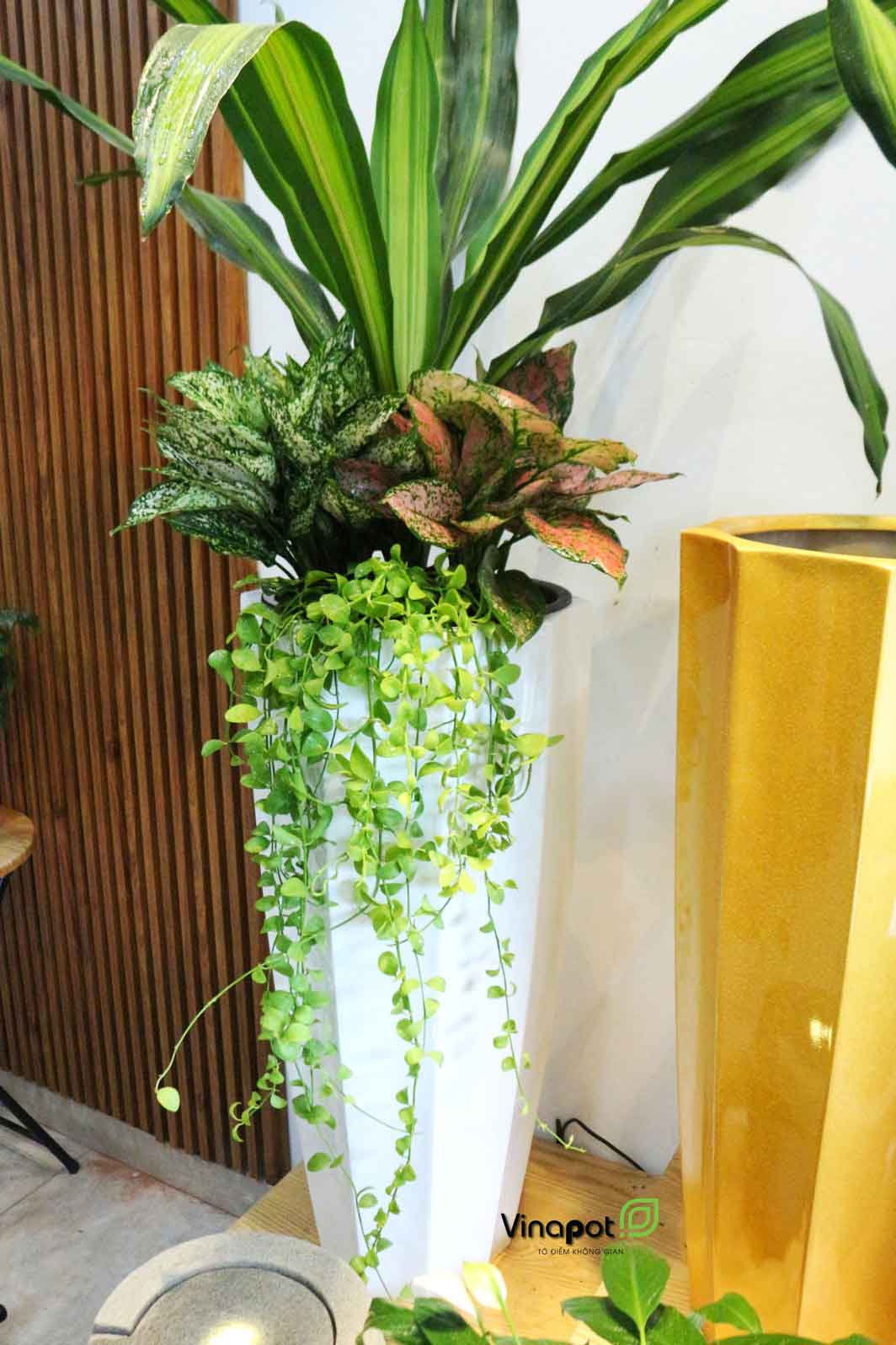 Chậu Composite Cao cấp Premier Garnet ROS