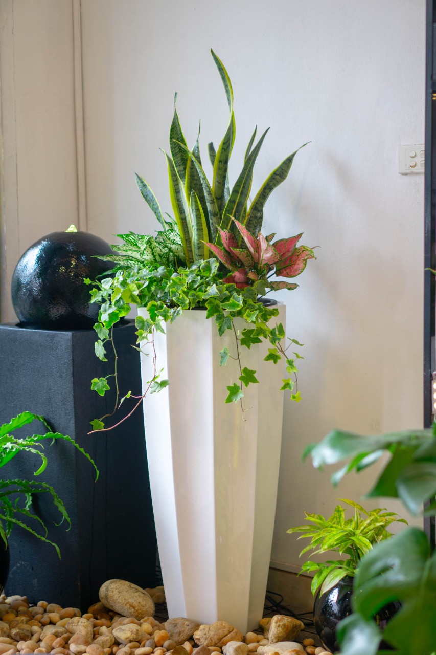 Chậu Composite Cao cấp Premier Garnet ROS