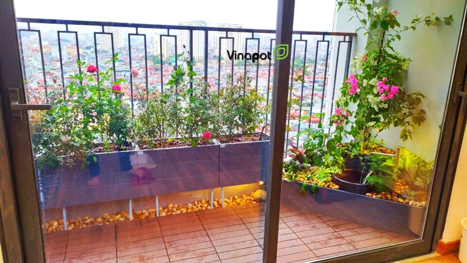 Chậu gỗ nhựa cao cấp Picowood kẻ chỉ