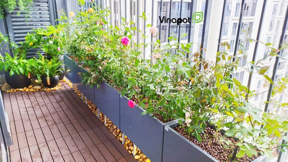 Chậu gỗ nhựa cao cấp Picowood kẻ chỉ