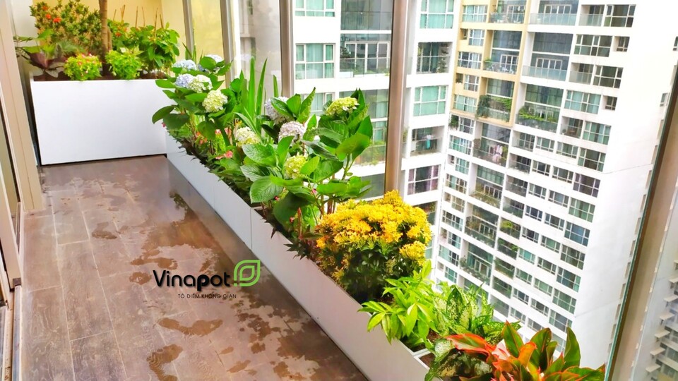 Chậu gỗ nhựa cao cấp Picowood kẻ chỉ