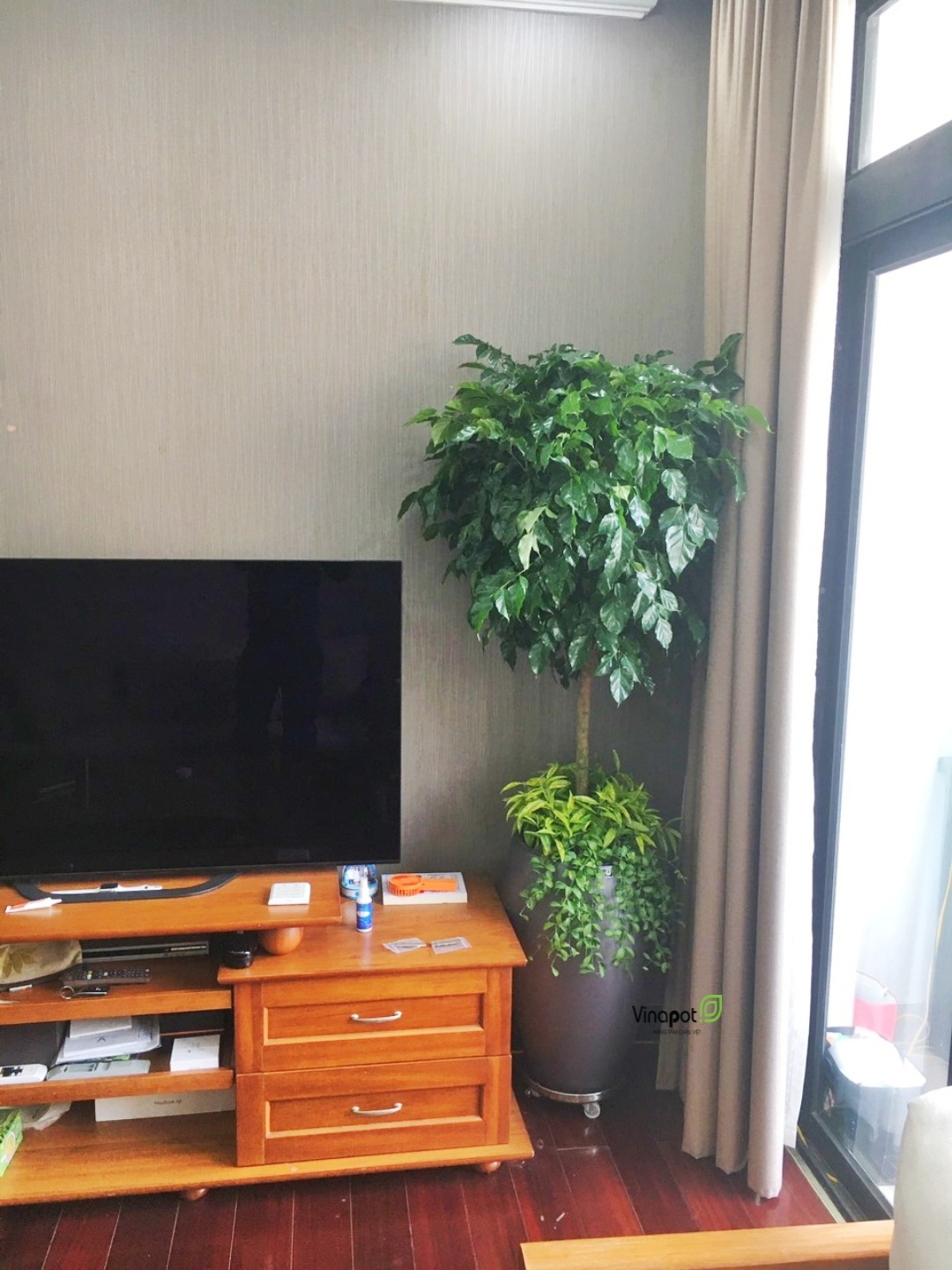 Chậu Composite Cao cấp Premier Lazuli ROS