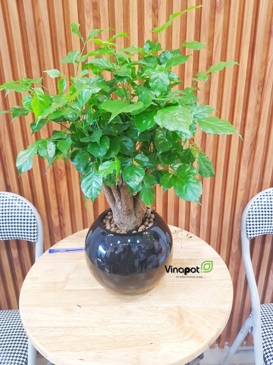 Chậu Composite Cao cấp Premier Opal ROS