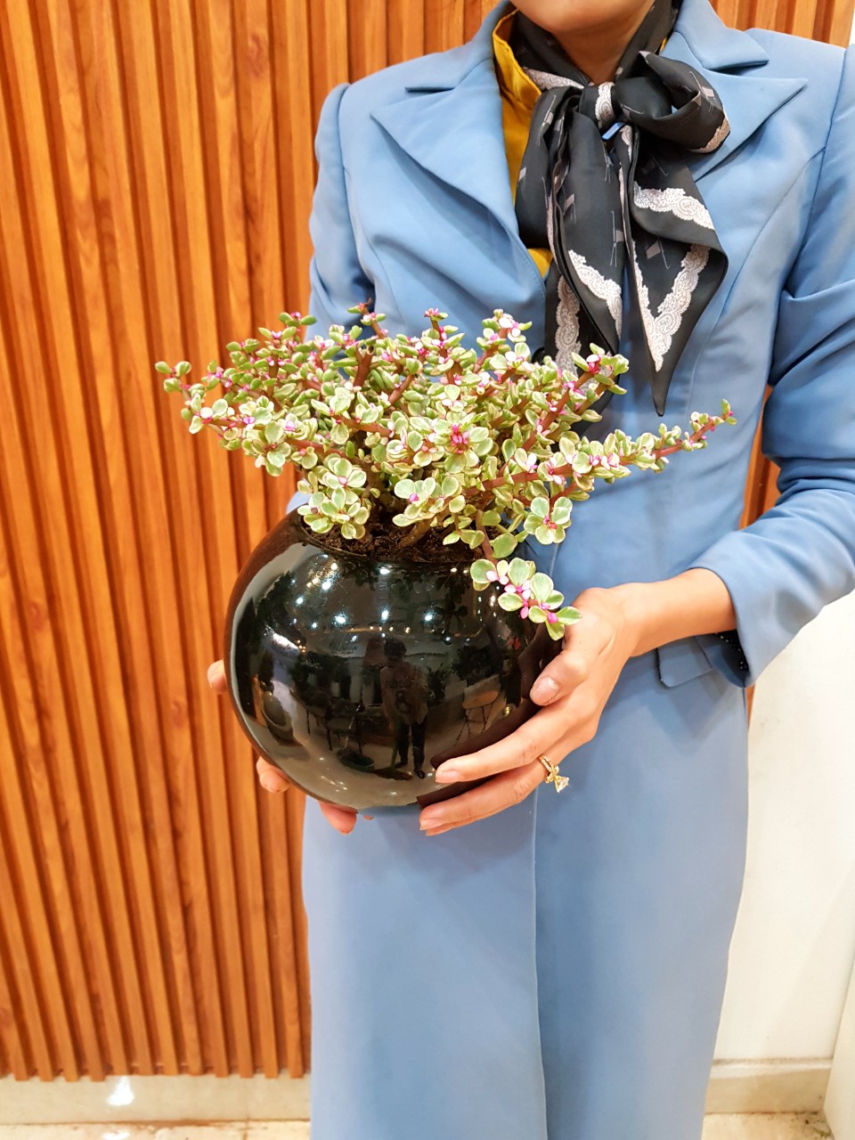 Chậu Composite Cao cấp Premier Opal ROS