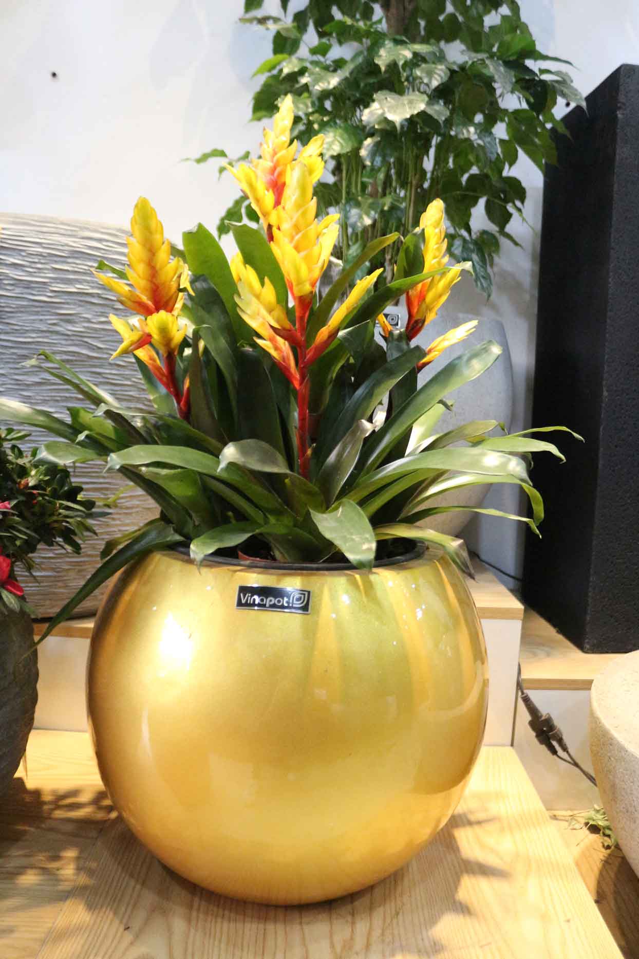 Chậu Composite Cao cấp Premier Opal ROS