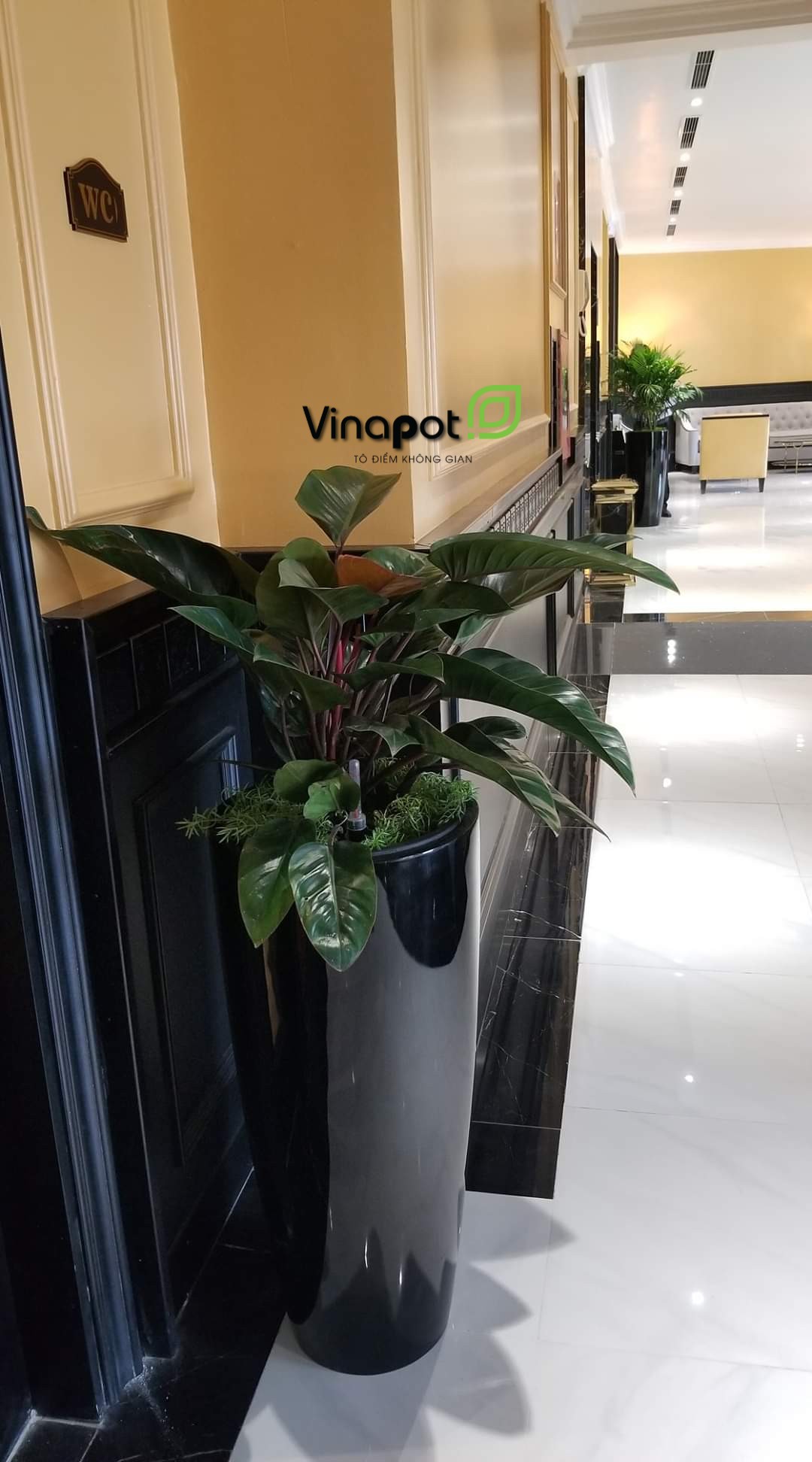 Chậu Composite Cao cấp Premier Sapphire ROS