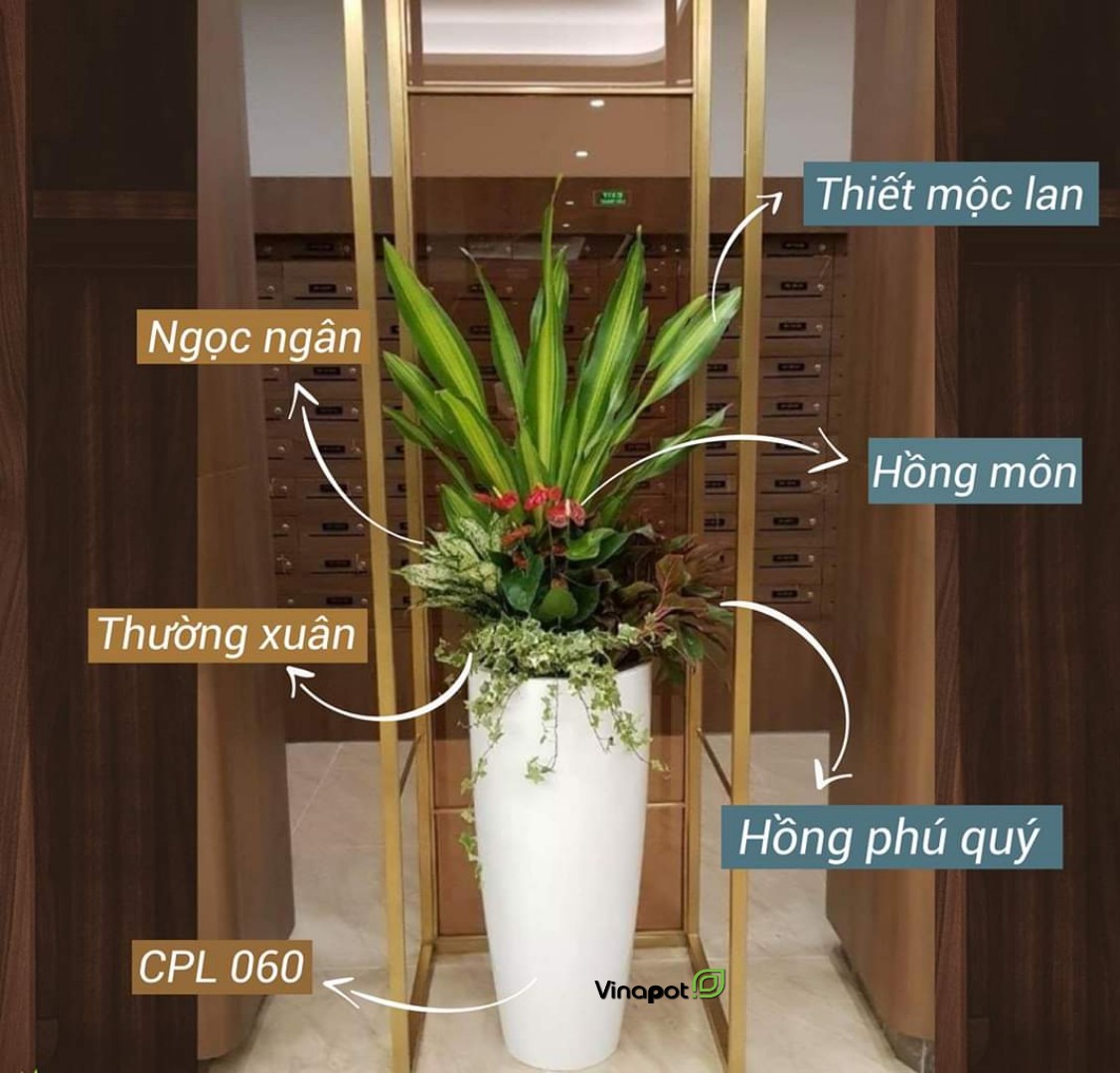 Chậu Composite Cao cấp Premier Sapphire ROS