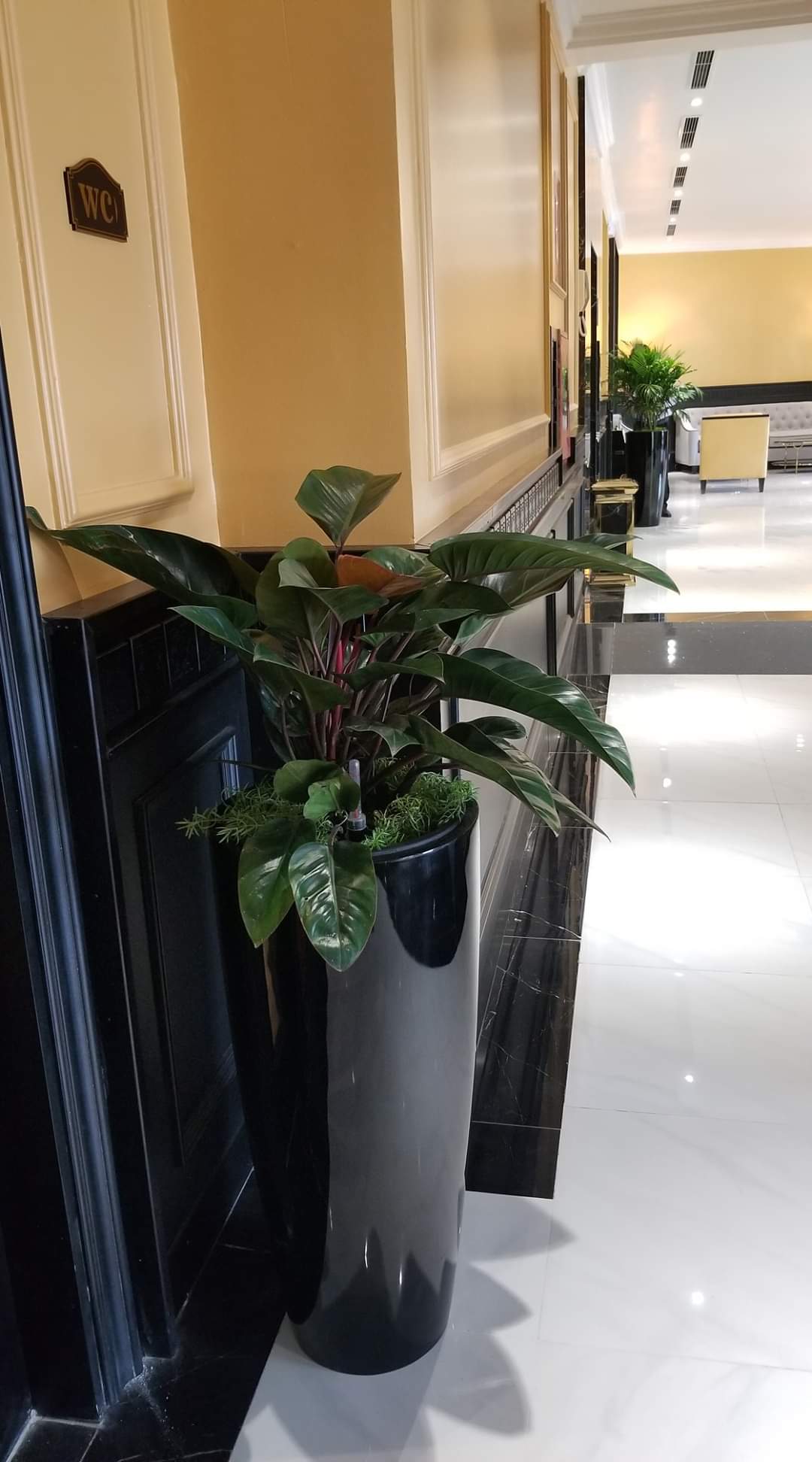 Chậu Composite Cao cấp Premier Sapphire ROS