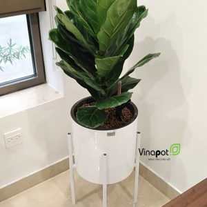 Chậu Composite Cao cấp Premier Trụ thẳng ROS