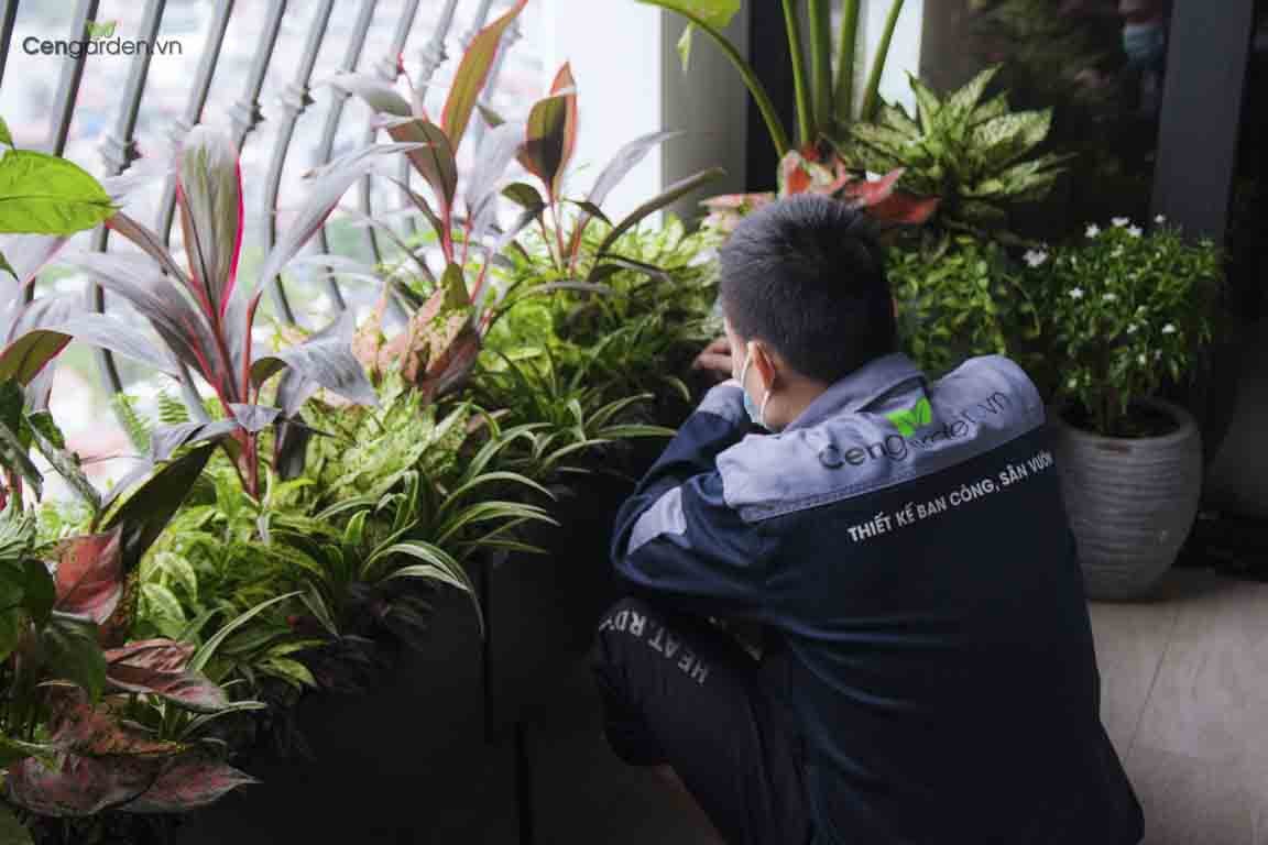 Thiết kế ban công tuyệt đẹp tại Le Capitole 27 Thái Thịnh