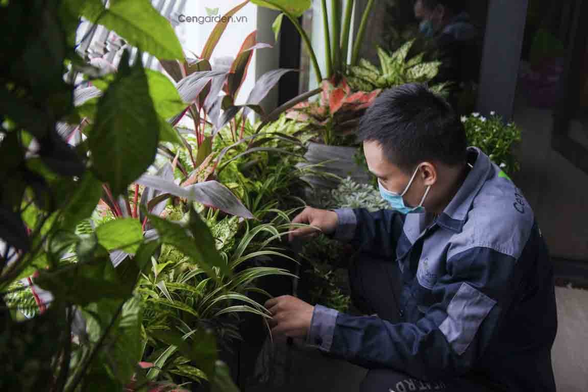 Thiết kế ban công tuyệt đẹp tại Le Capitole 27 Thái Thịnh